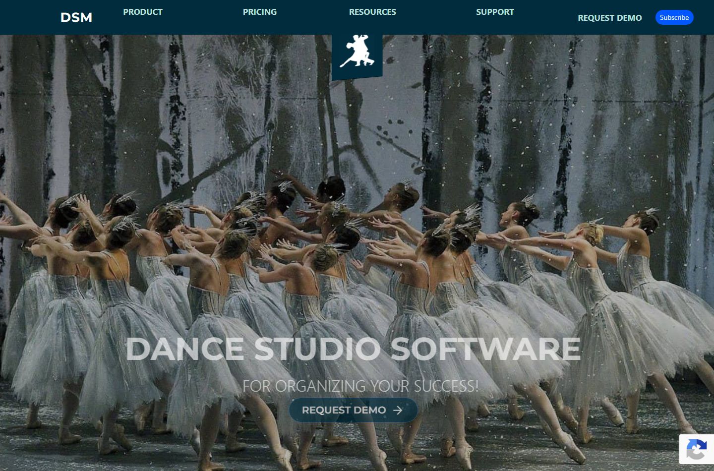 Dance Studio Manager website screenshot